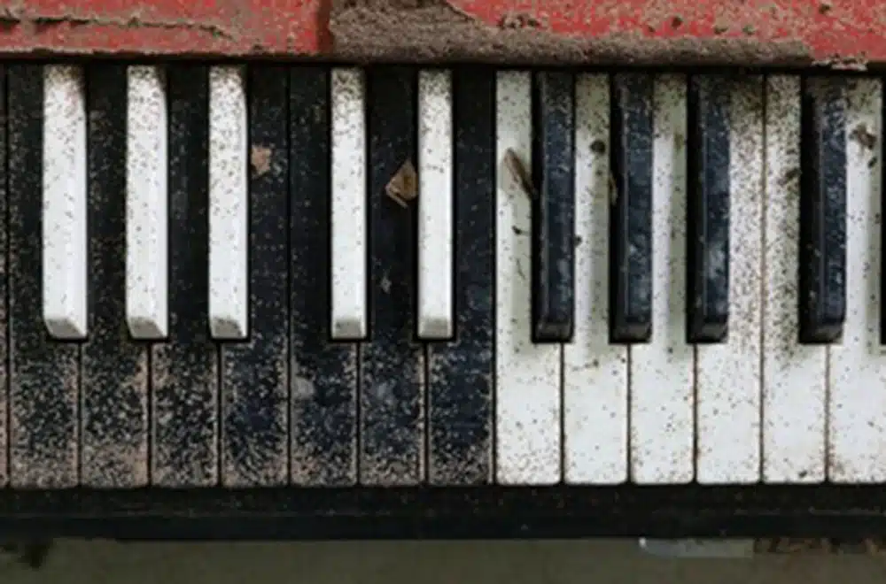 a piano rotting by environmental damage